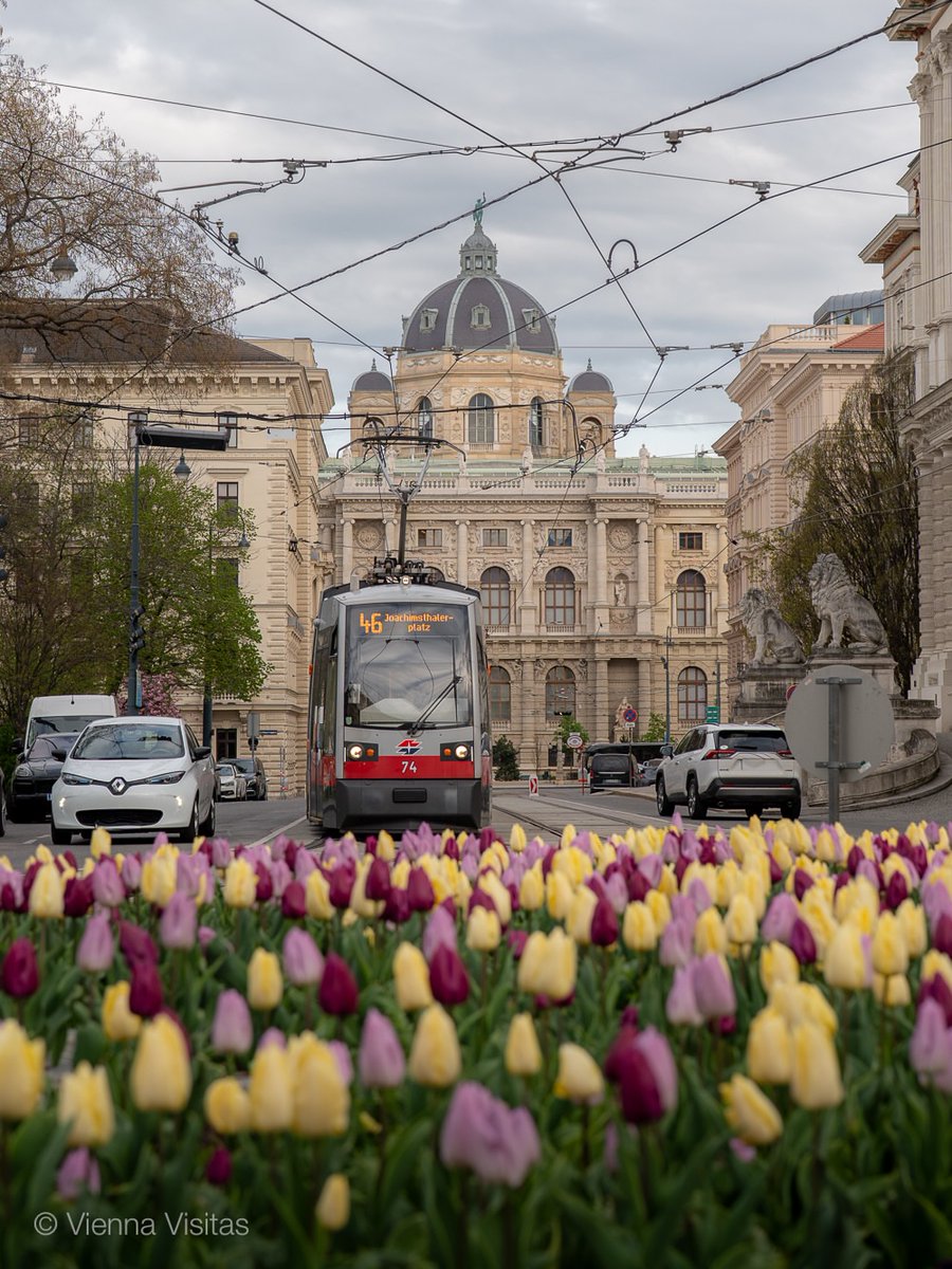 beautyexplorer0's tweet photo. Vienna, Austria https://t.co/KbJgdFLgRI