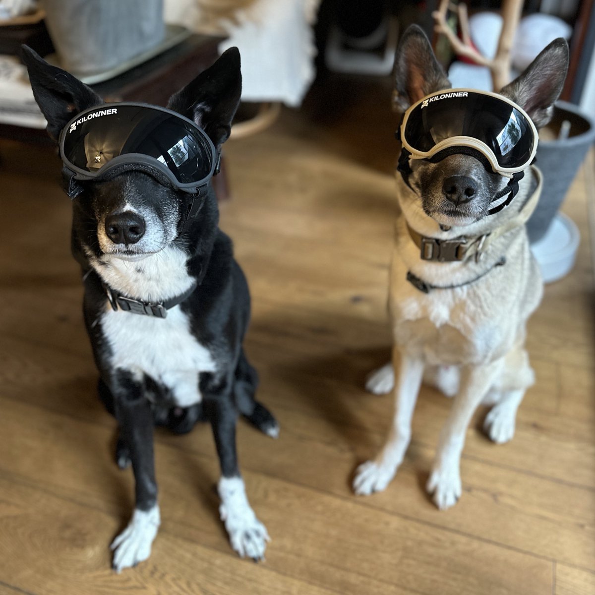 白浜鴎☮️とんがり帽子アニメ化 tweet media