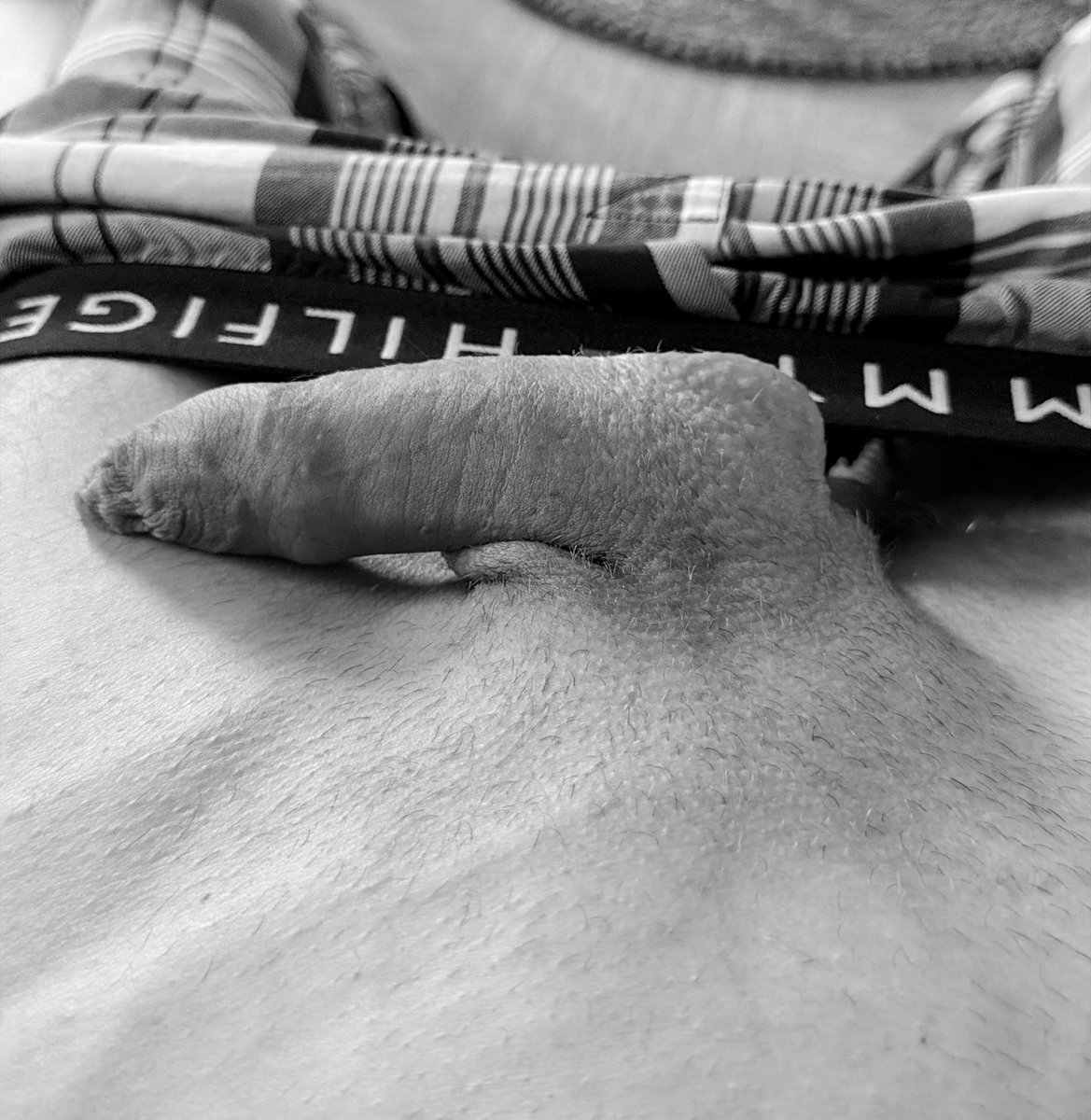 🍆🔞🫶🏼 tweet media