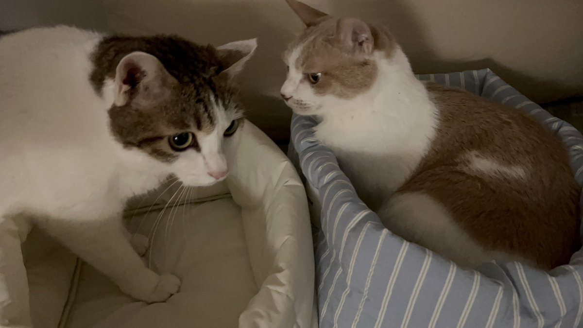 수목이 tweet media