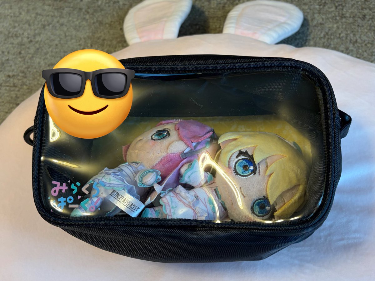 ショルダーポーチ買ったけど横幅も奥行もスカスカすぎてこれ

有り得んマジで 