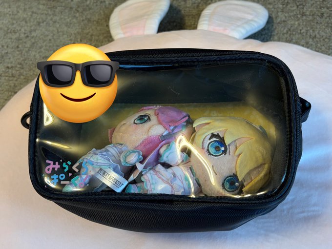 ショルダーポーチ買ったけど横幅も奥行もスカスカすぎてこれ

有り得んマジで 