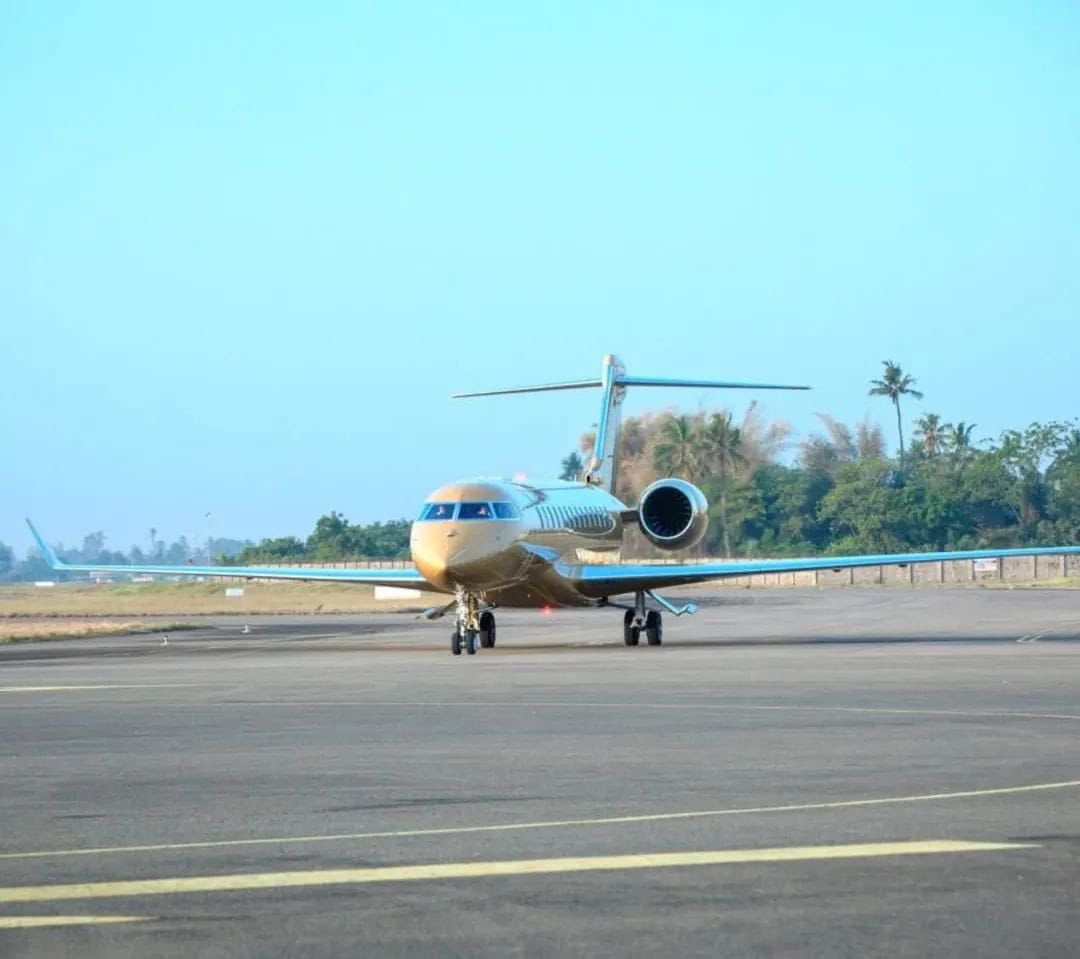 Sean 🦩 tweet media