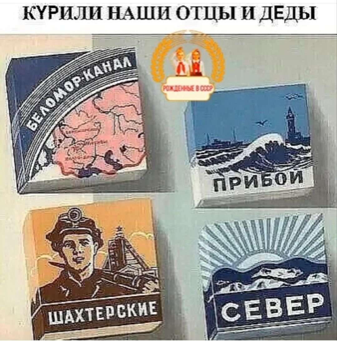 Вано Шаламов 9.0 -(резервный). tweet media