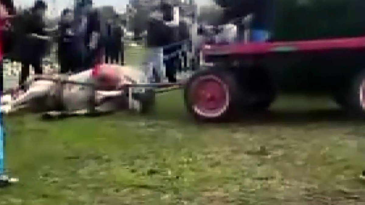 Cumhuriyet tweet media