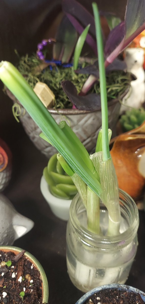 Garbage World Entourage 🗑 🦝✂️ tweet media