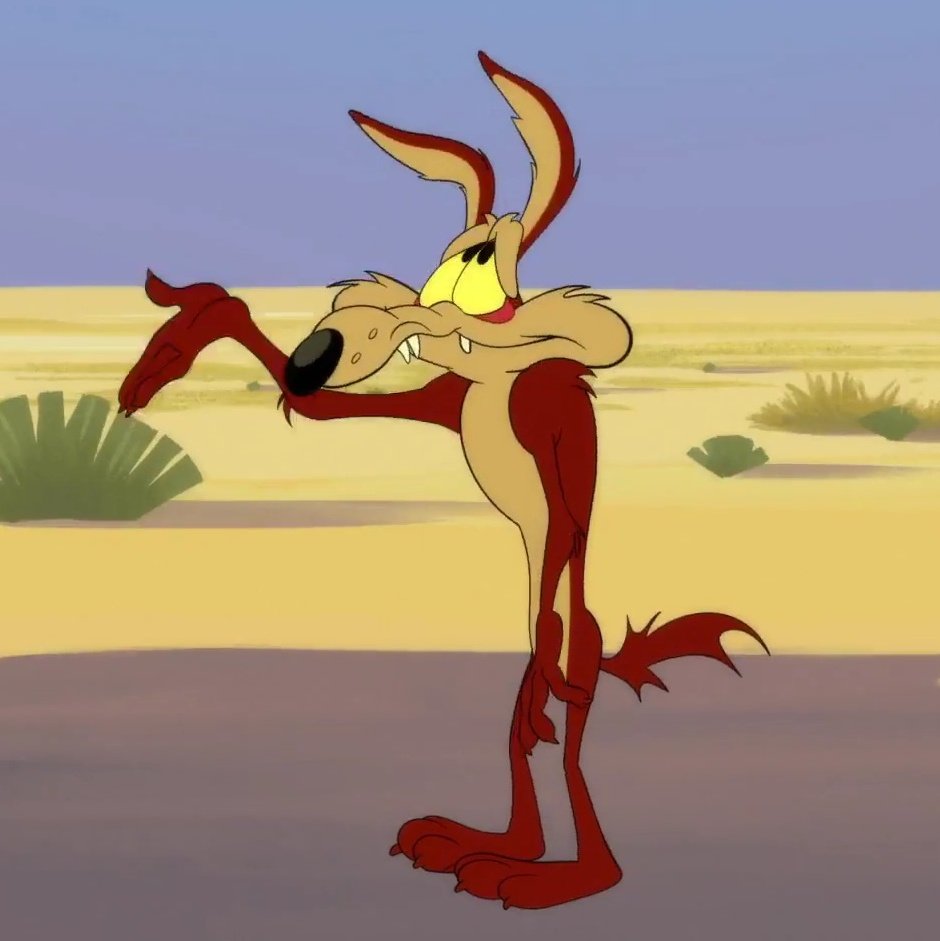 Cody | Wile E stan tweet media