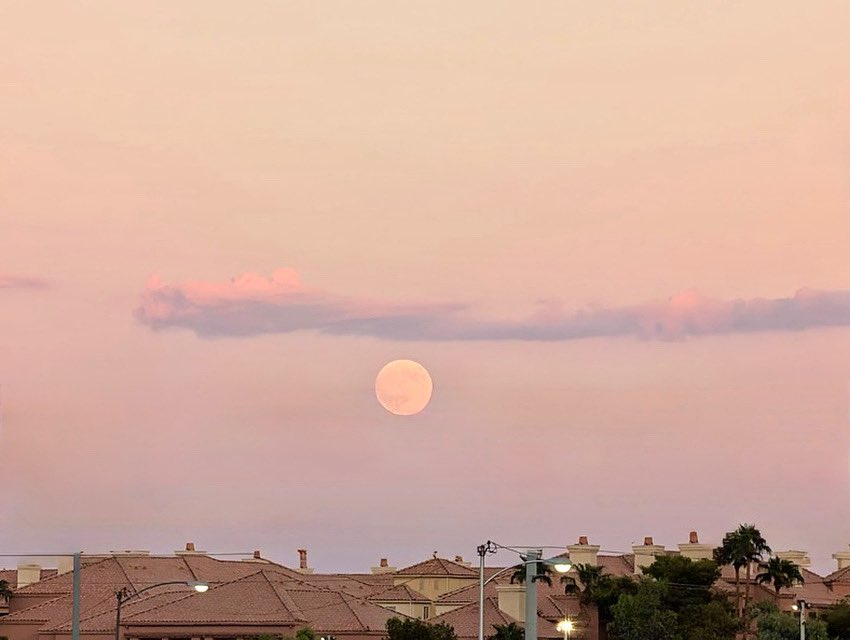 Callum 🏴󠁧󠁢󠁷󠁬󠁳󠁿 tweet media