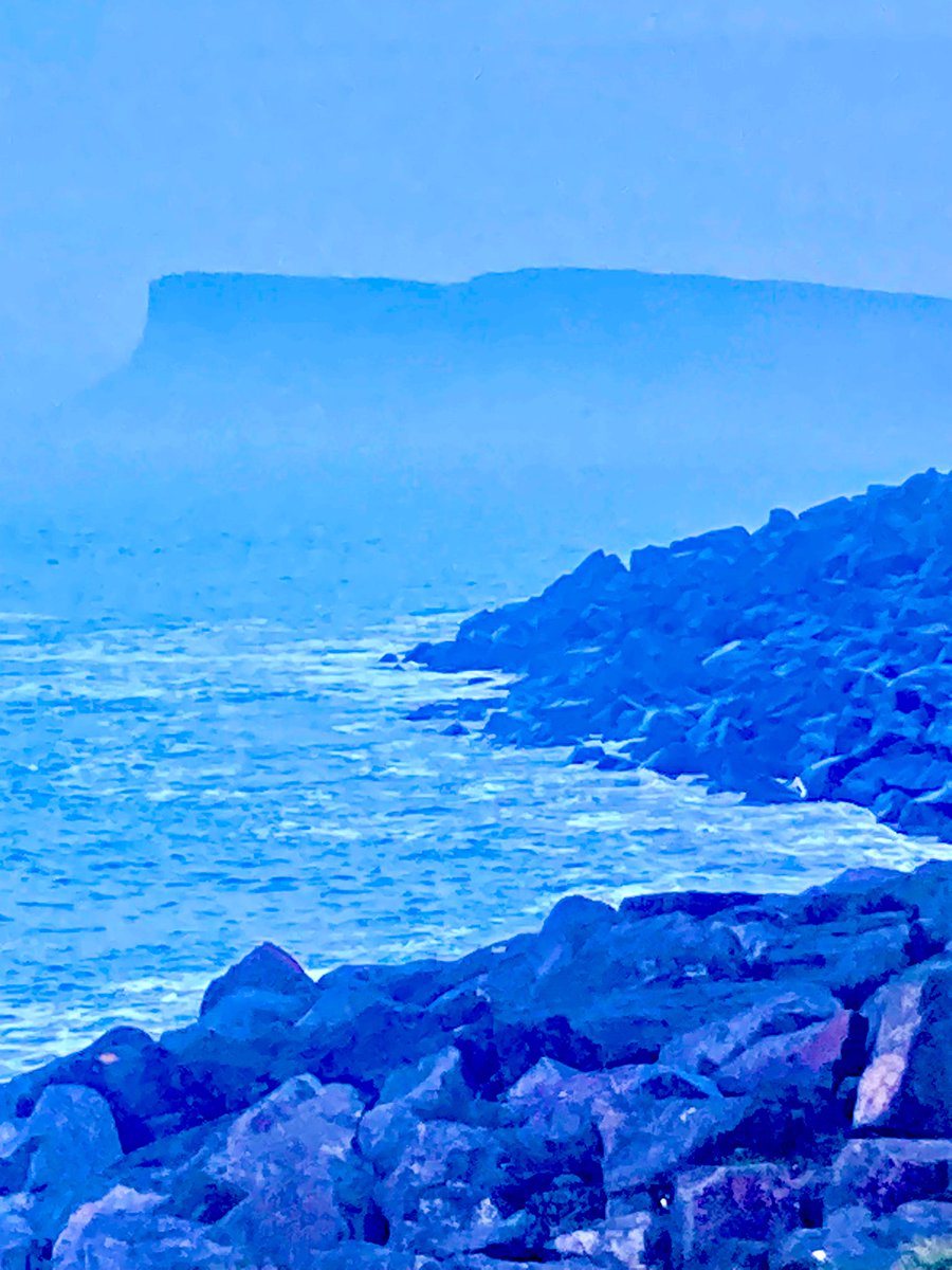 Professor Denis Harkin tweet media