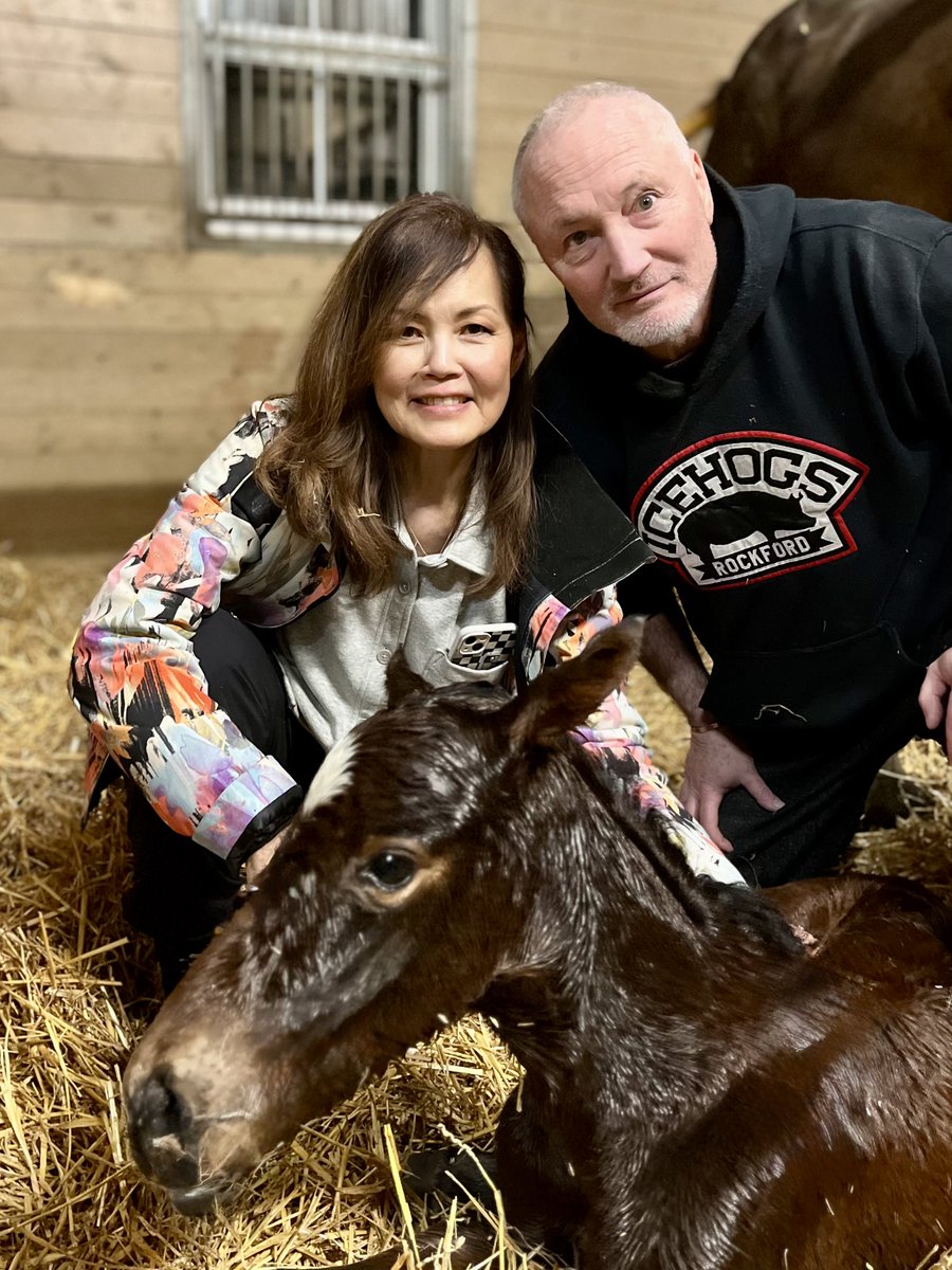 Al & Bill Ulwelling 🐎🐎🇺🇸 tweet media