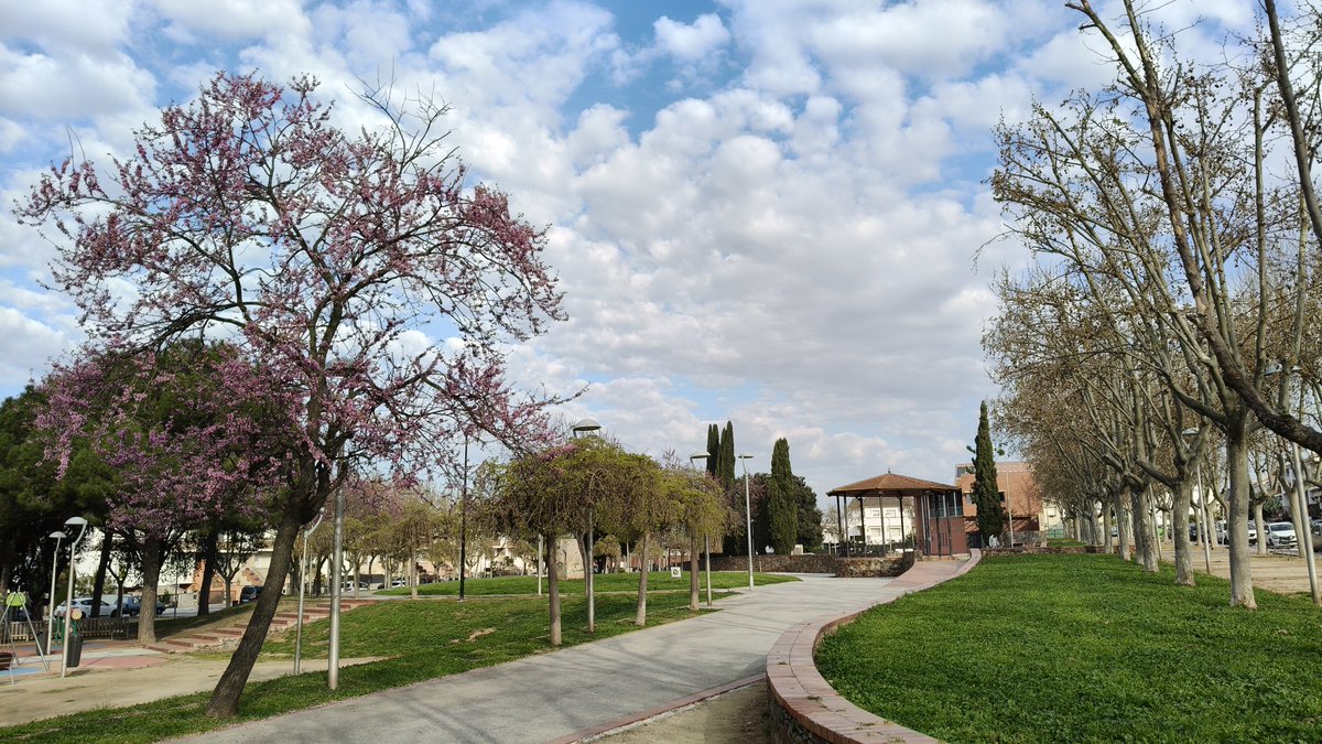 Joan Ramon Mercè tweet media