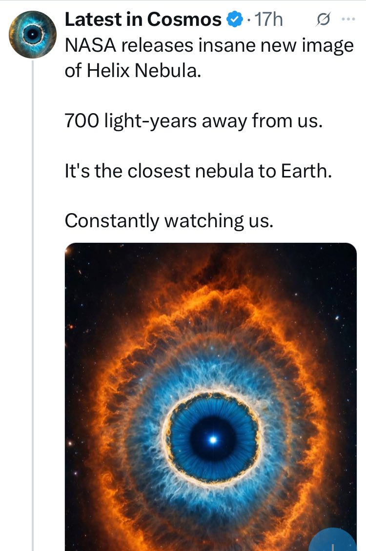 🌼🌸🌺CSW🌺🌸🌼 tweet media