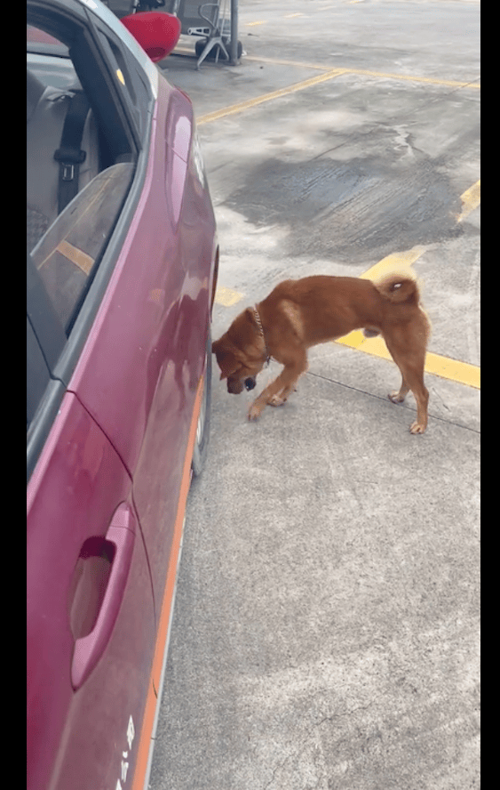 CHRISTIANA FOUTS tweet media