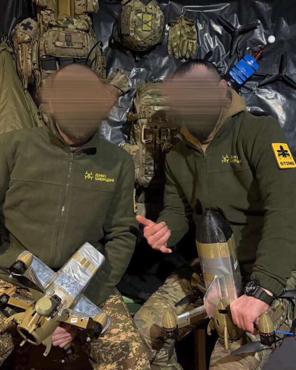 Wild Hornets tweet media