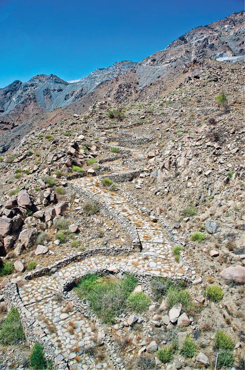 Desert Publisher tweet media