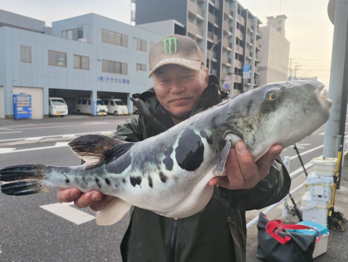 濱生丸★船長望月亮英 tweet media