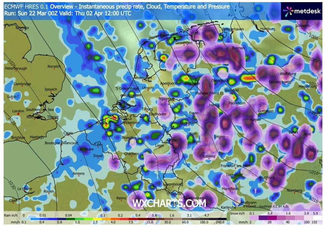Art of Thunders Stormchasers tweet media