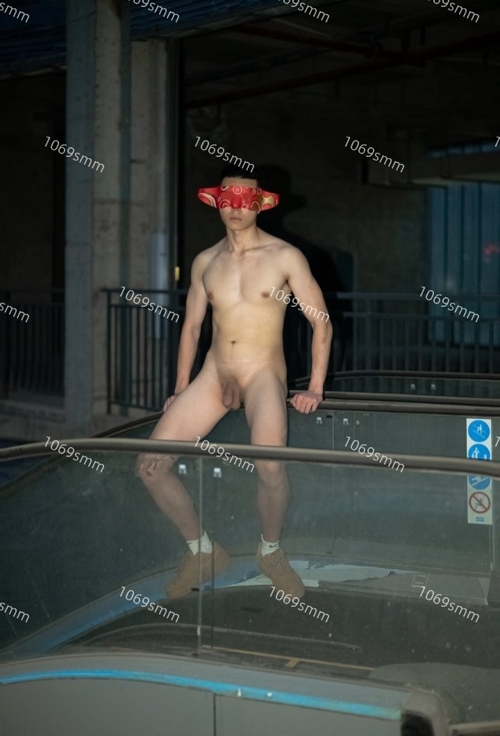 Sharkbee tweet media