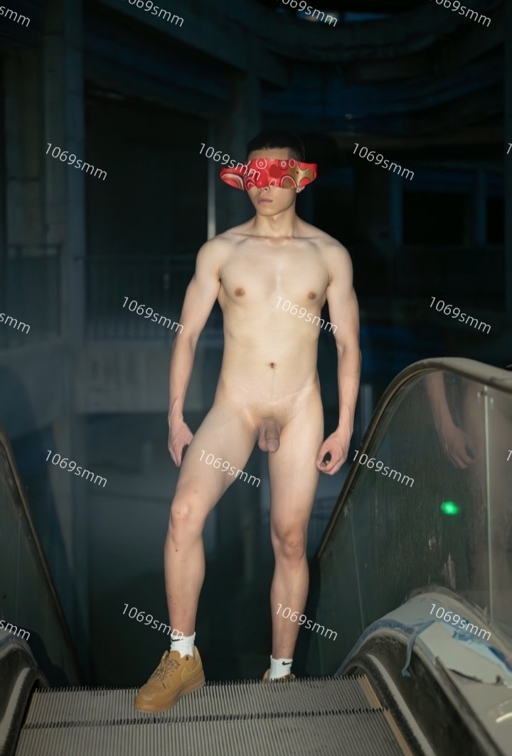 Sharkbee tweet media