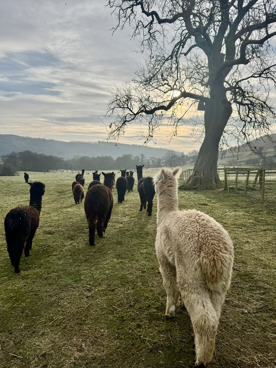 Off they go Happy Sunday