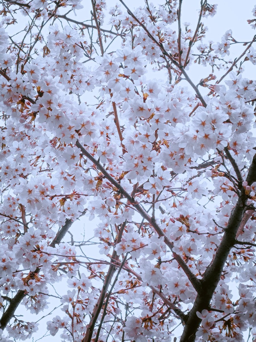 EXS(エクス) tweet media