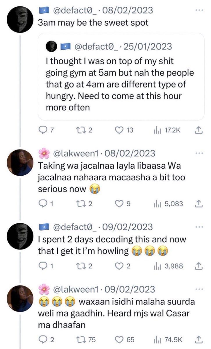 mango ijbolassi tweet media