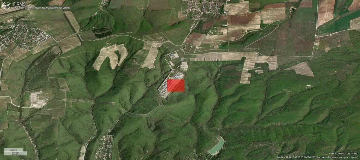 WarTranslated tweet media