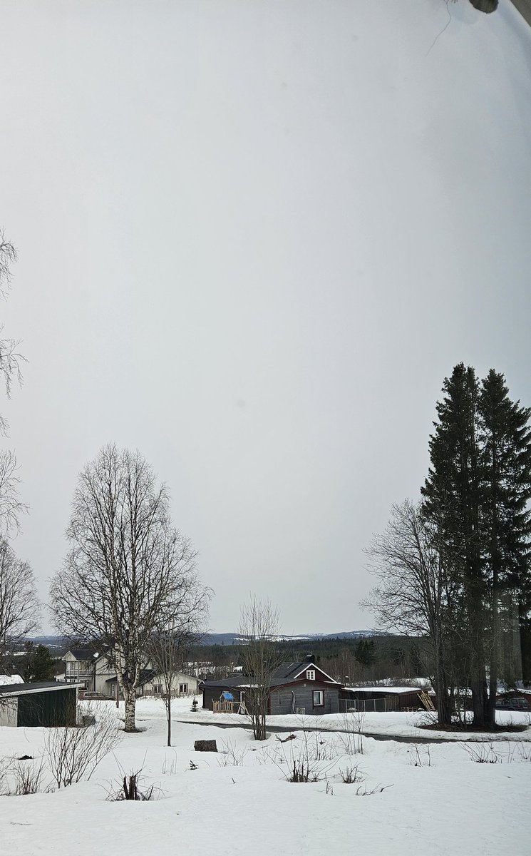 Carol klooster 🇸🇪 tweet media