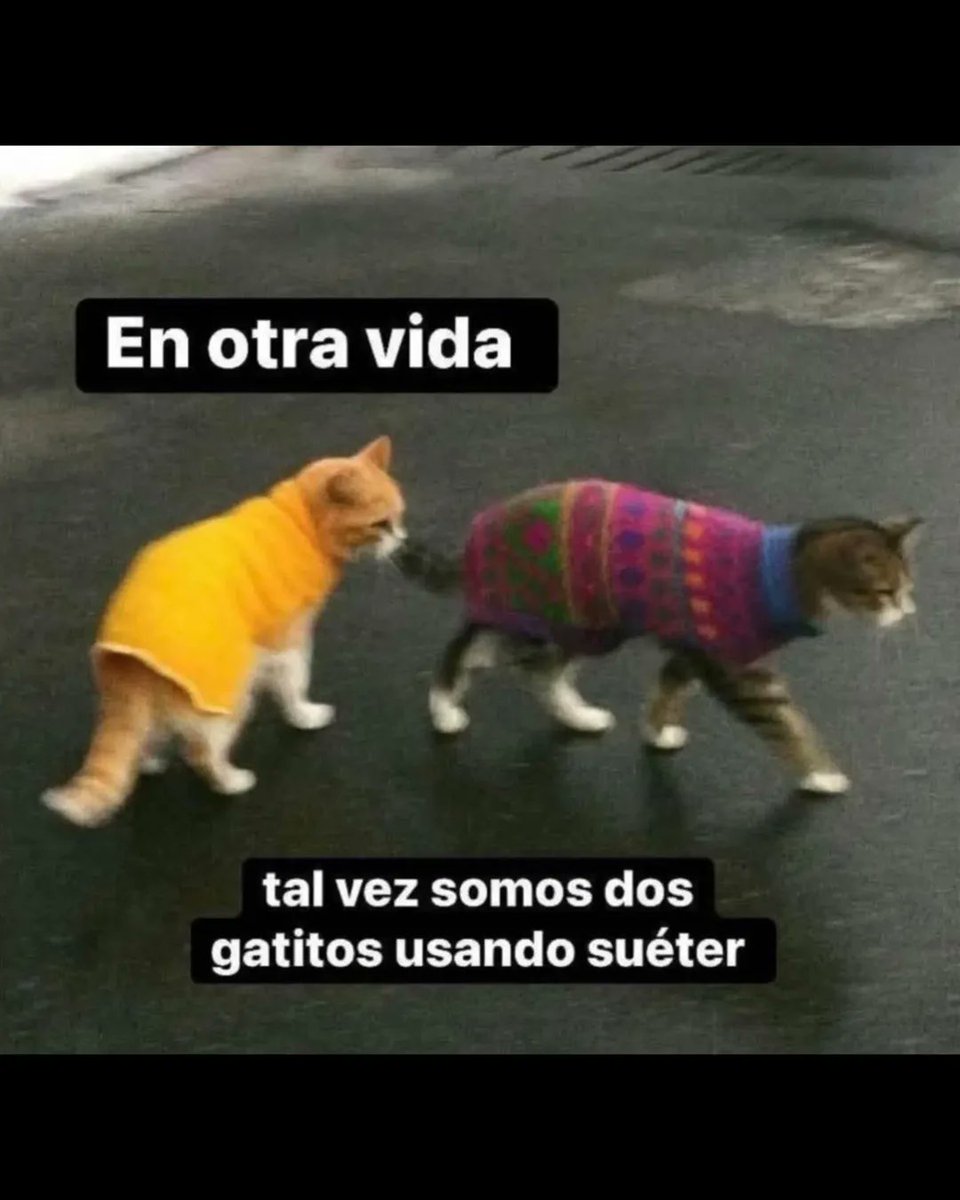 Ojos color sol tweet media