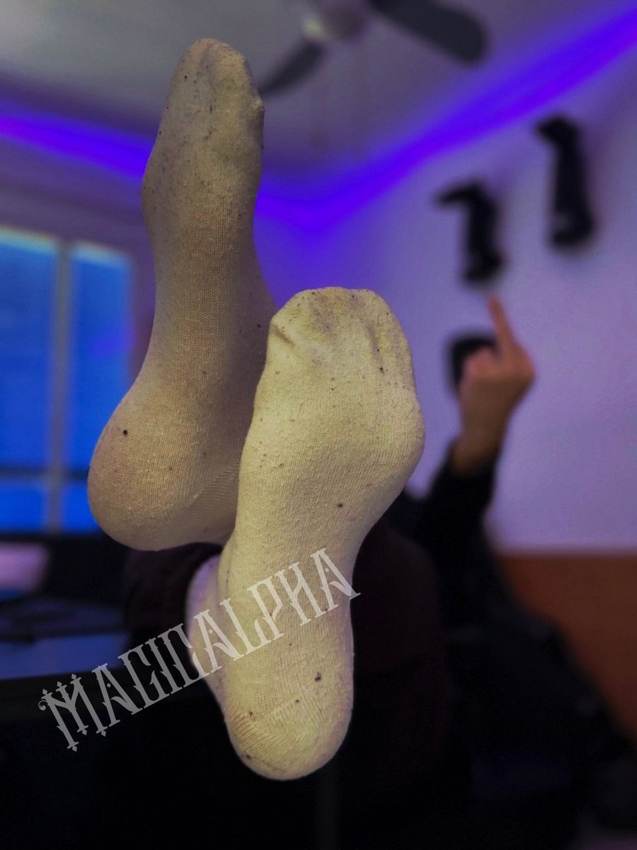 MagicAlpha tweet media