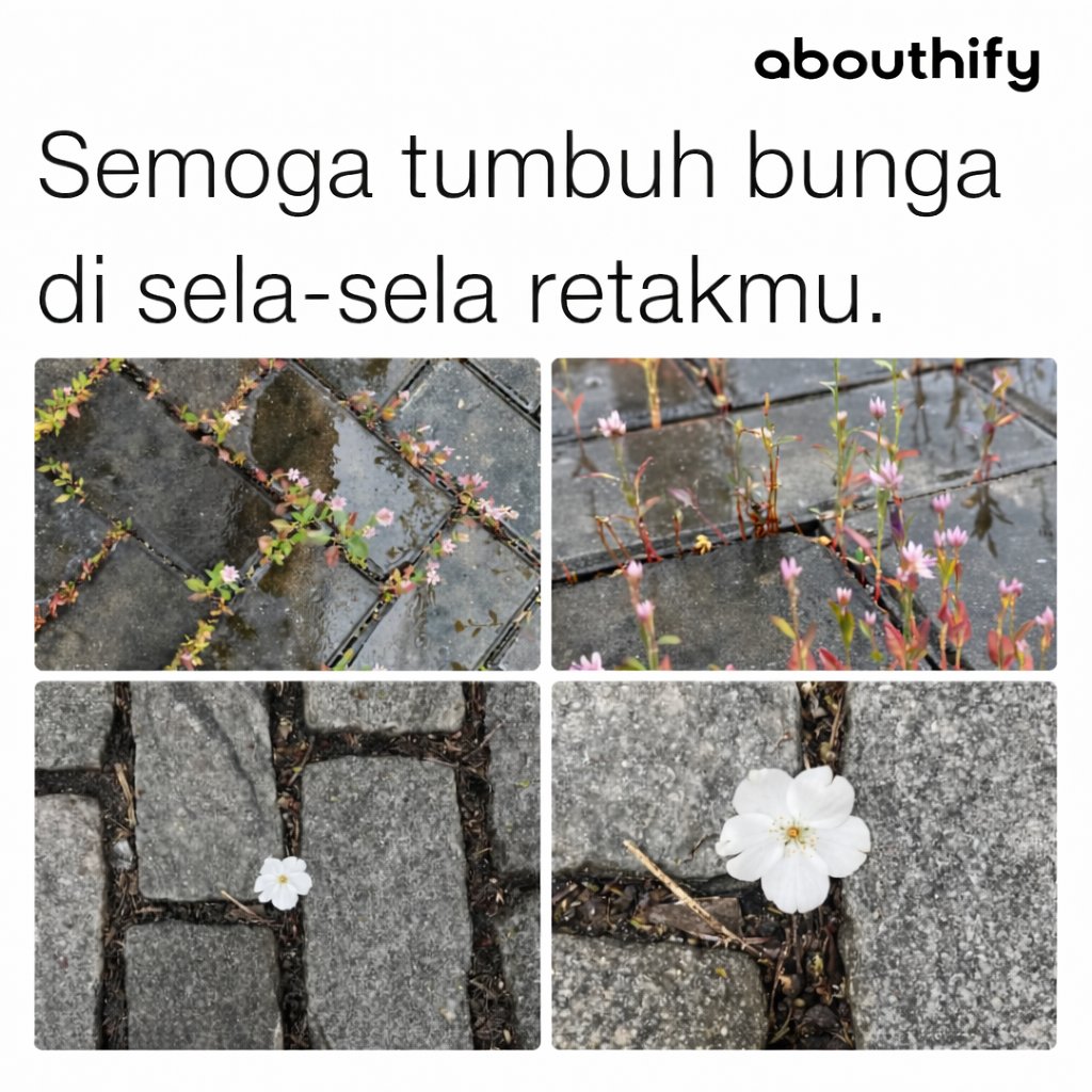 l'M FINE tweet media