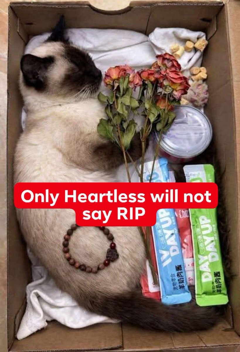 Alyza Malik tweet media