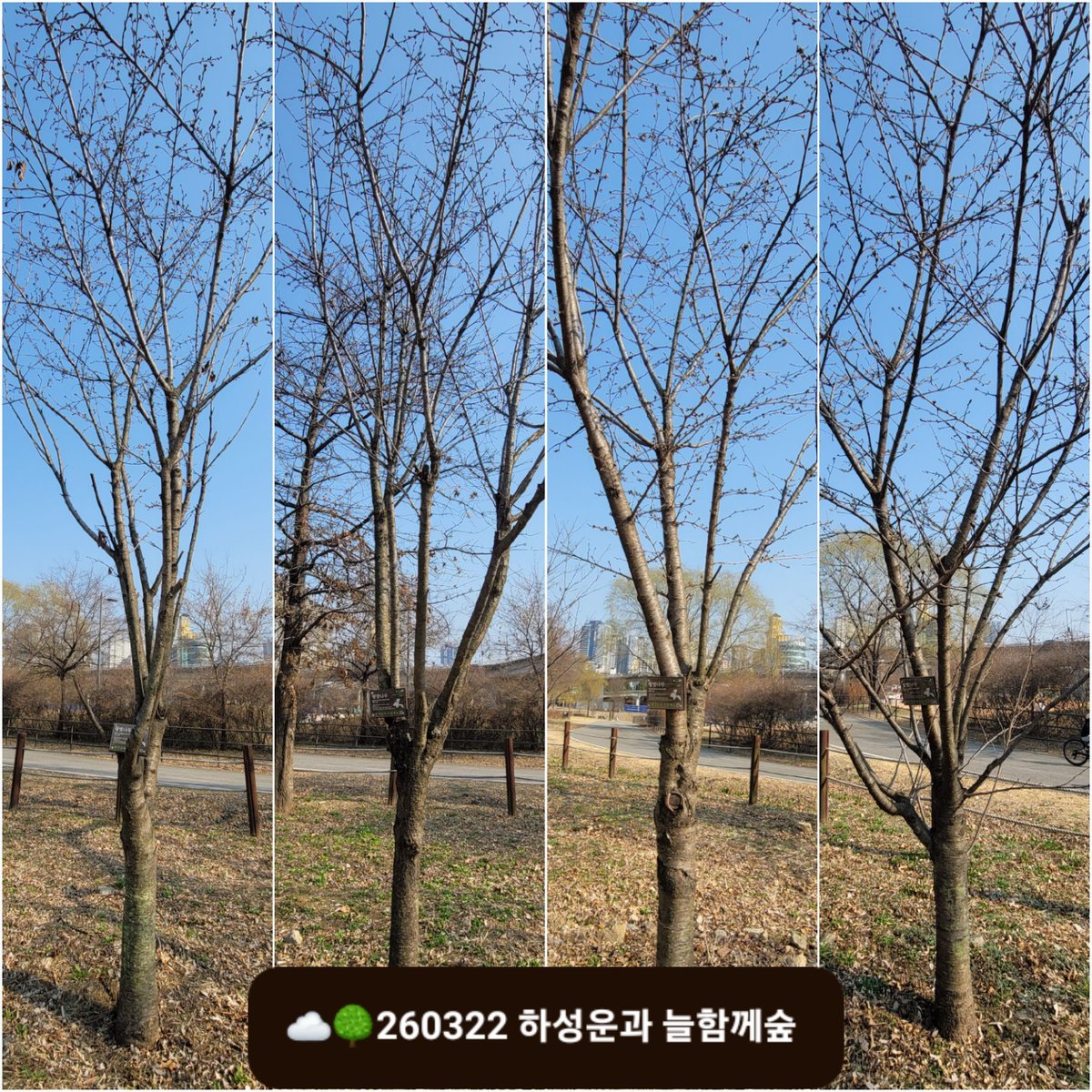 하성운 서포터즈 여운 tweet media