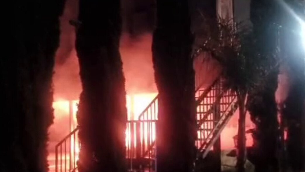 Alon-Lee Green - ألون-لي جرين - אלון-לי גרין 🟣 tweet media