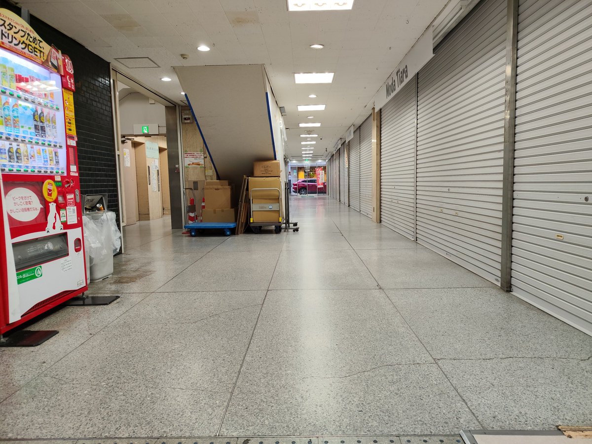 Fey Tas(せんせーのアーカイブア13) tweet media