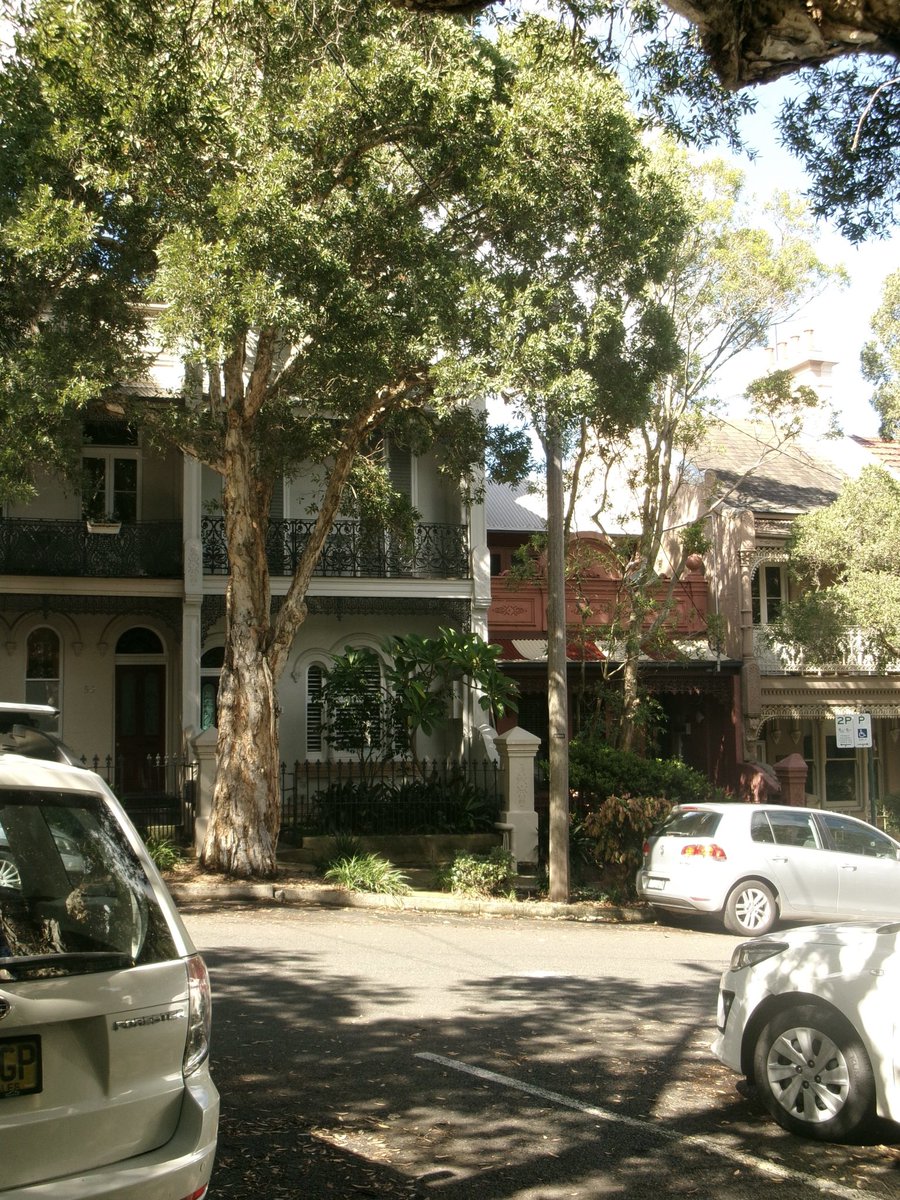 phoebe 🍜 tweet media