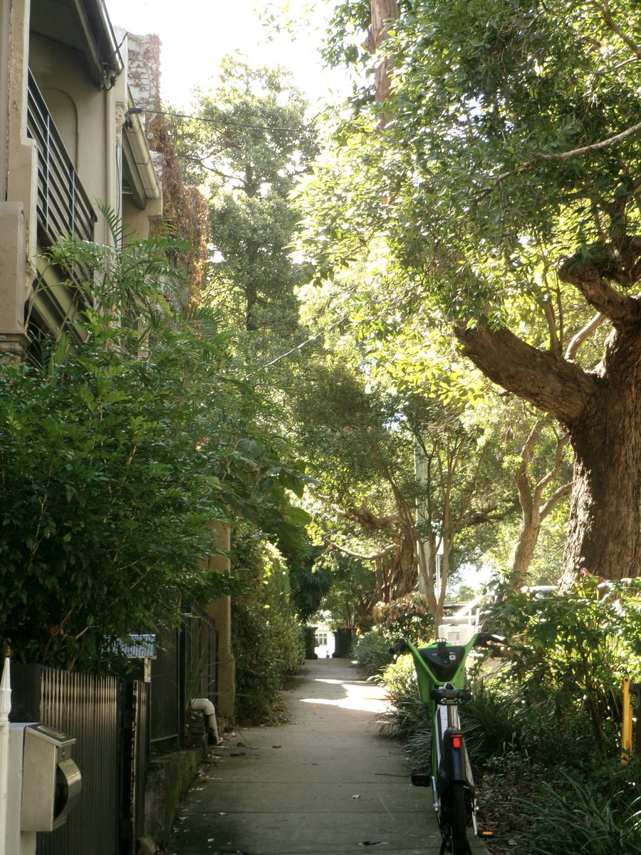 phoebe 🍜 tweet media