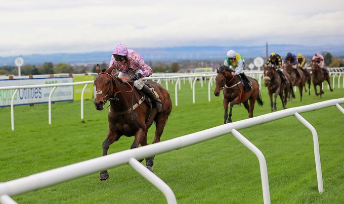 🐦Pigeon🐎Island🐦 tweet media