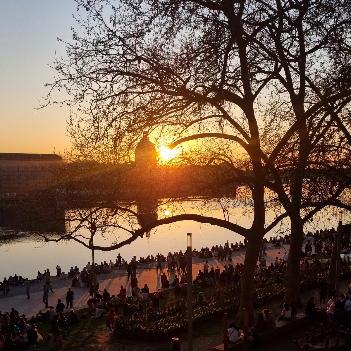 Iván F. Mula 🏳️‍🌈 tweet media