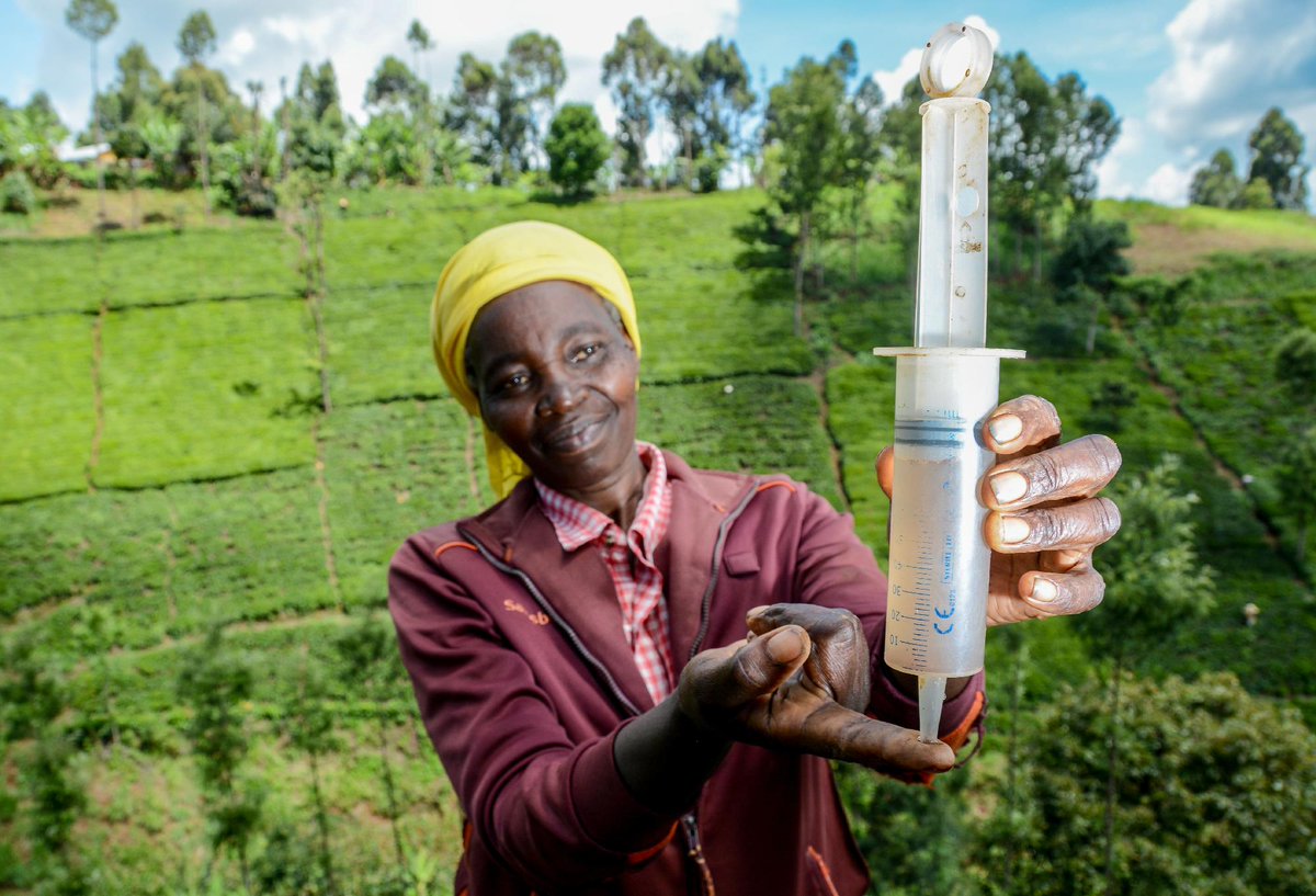 Alliance of Bioversity International and CIAT tweet media