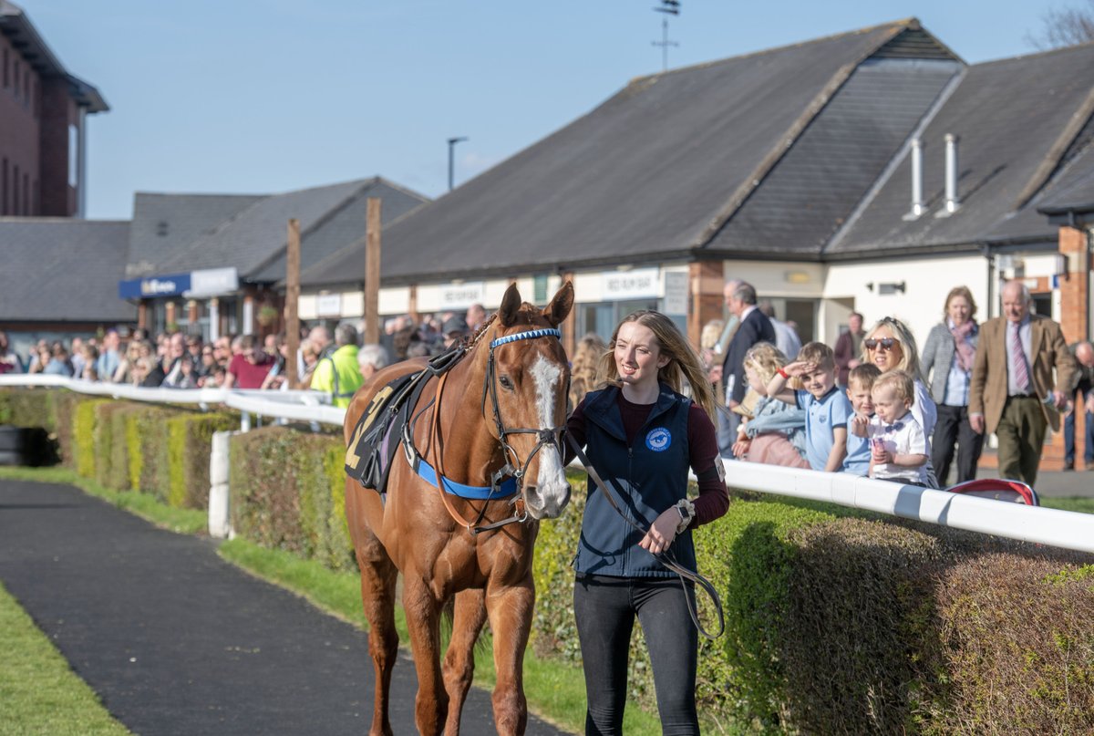 🐦Pigeon🐎Island🐦 tweet media