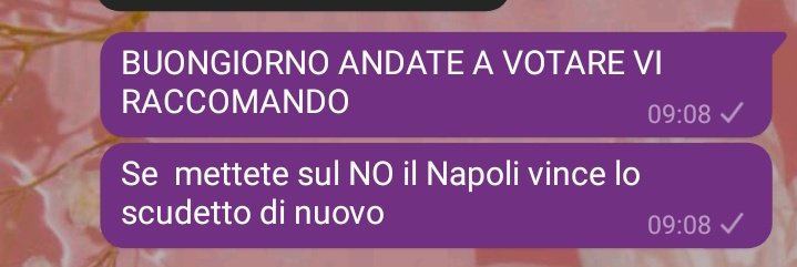 🌷Maria Grazia💚🧚♀️ tweet media