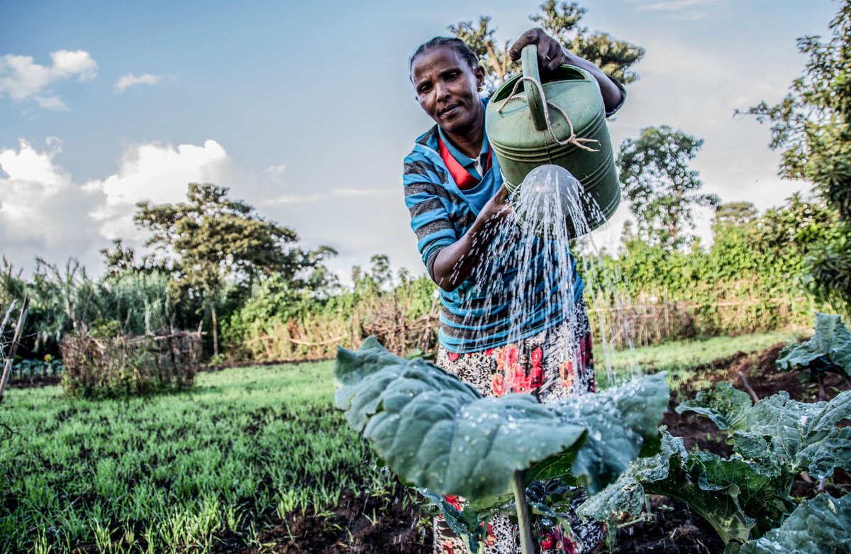 Alliance of Bioversity International and CIAT tweet media