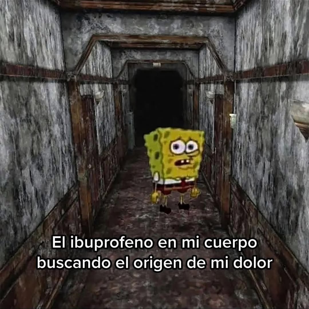 Ojos color sol tweet media