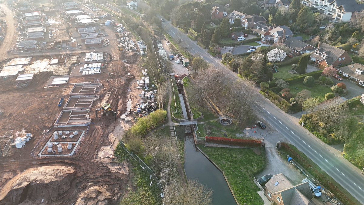 Court Above The Cut tweet media