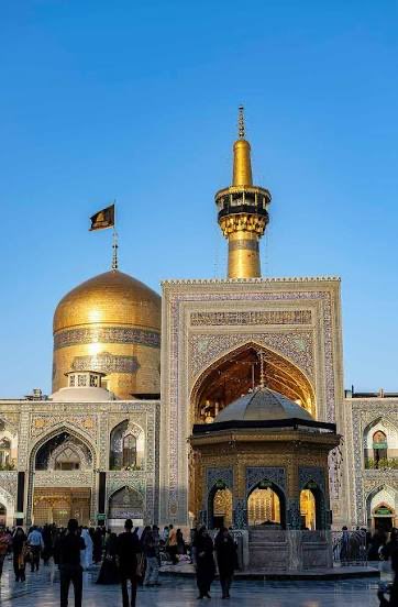 Pirooz tweet media