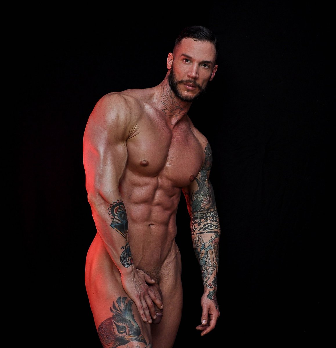 VASA NESTOROVIC tweet media