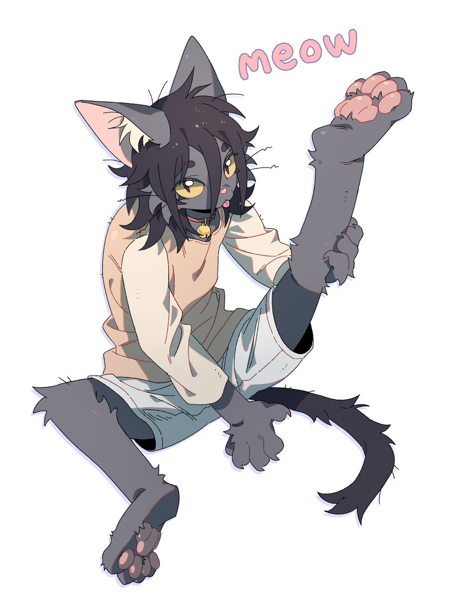 늑대범고래 tweet media