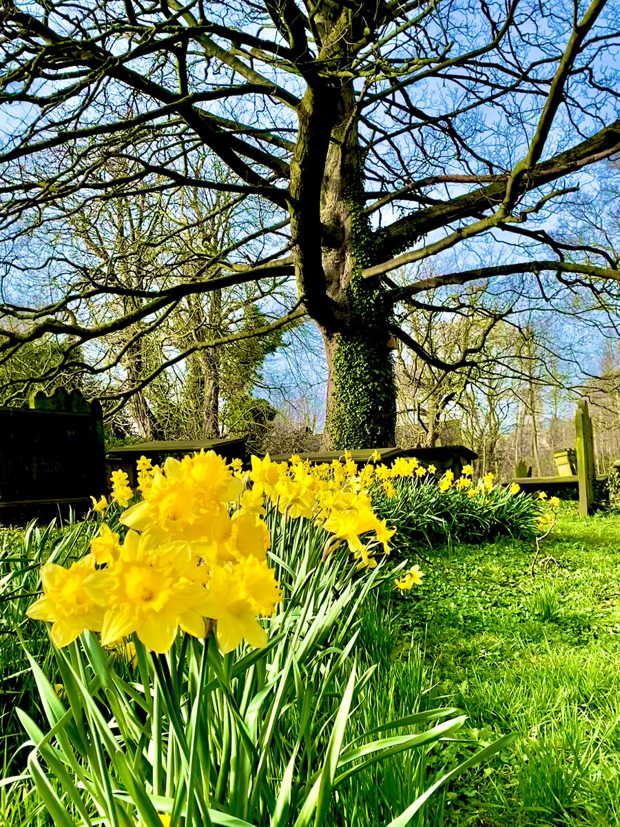 Roger Geeson tweet media