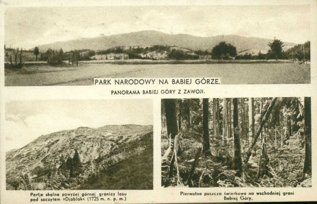 ASZE BESKIDY🇵🇱⛰️🏰⛰️🇨🇿🇸🇰🇪🇺 tweet media